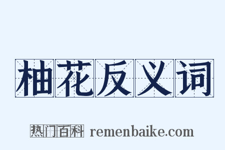 柚花反义词是什么意思的图片